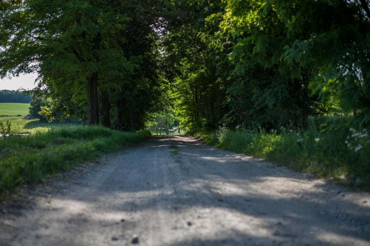 Domek Na Wzgorzu Blanki Lidzbark Warmiński Exteriér fotografie