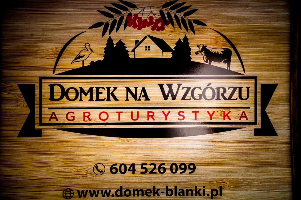 Domek Na Wzgorzu Blanki Lidzbark Warmiński Exteriér fotografie